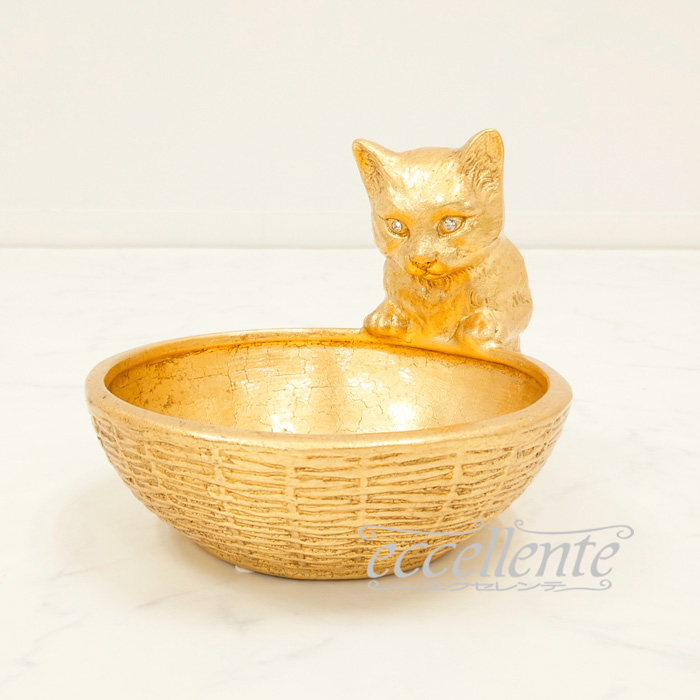 子猫5